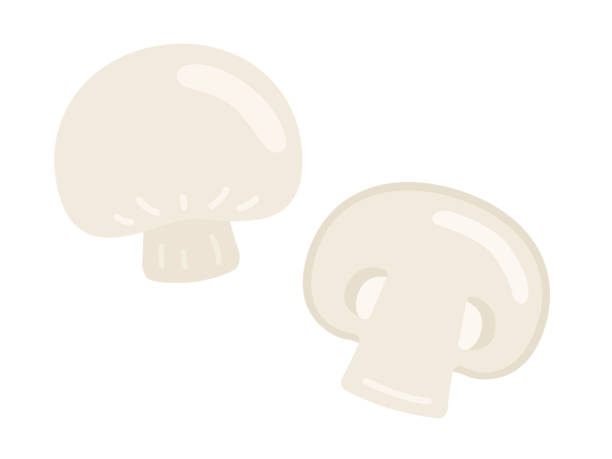 Ingredient illustration of white mushrooms of vegetables. Ingredient illustration of white mushrooms of vegetables. crimini mushroom stock illustrations