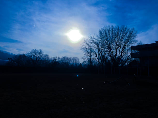 The inside landscape of the International Training Centre of the International Labour Organization (ITCILO), an innovative United Nations campus based in Turin, Italy. In 2014, the ITCILO earned an EcoCampus award from the Foundation for Environmental Education. The certificate affirms the Centre's long-term commitment to sustainable practices on campus and sustainability-focused educational initiatives.