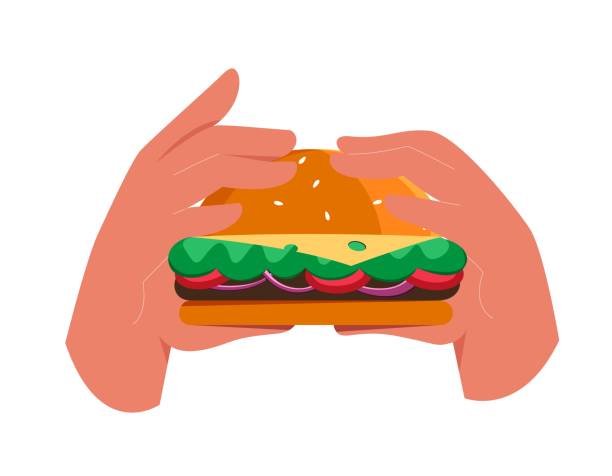 ilustrações de stock, clip art, desenhos animados e ícones de hands holding burger. unhealthy eating, fast food concept. vector illustration in flat style, isolated on white background - burger sandwich hamburger eating