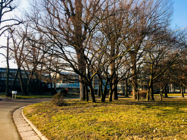Park in Oslo,Norway.