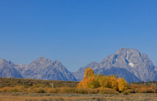 istock Scenic Autumn Landscape in the Tetons 1366429583