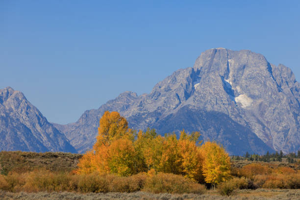 istock Scenic Autumn Landscape in the Tetons 1366429758