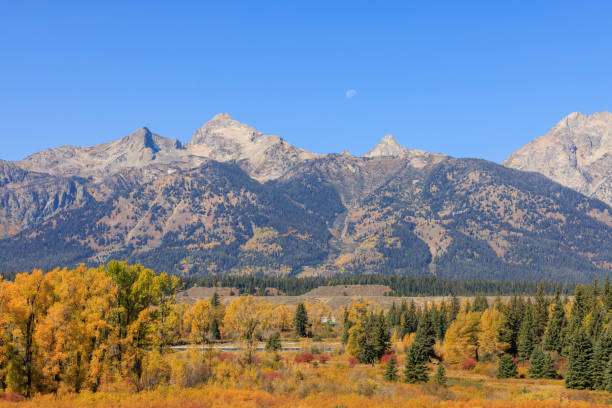 istock Scenic Autumn Landscape in the Tetons 1366430439