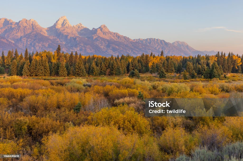 Scenic Autumn Landscape in the Tetons a scenic autumn landscape in Grand Teton National Park Wyoming Wyoming Stock Photo