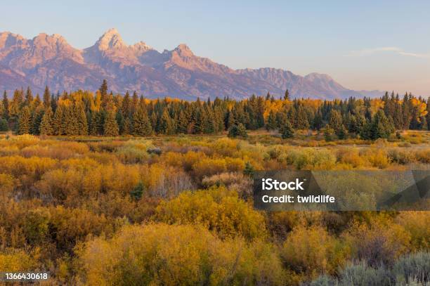 Scenic Autumn Landscape In The Tetons Stock Photo - Download Image Now - Wyoming, Mountain, Autumn