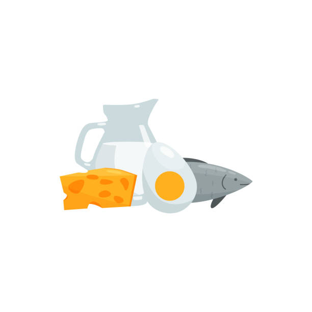 ビタミンdは動物由来の食物源、平らなベクターのイラストが単離される。 - vitamin d meat food eggs点のイラスト素材／クリップアート素材／マンガ素材／アイコン素材