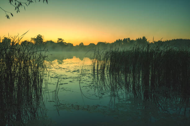 istock Magical sunrise over the lake. Misty morning 1366437410