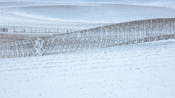 vista lateral de un campo agrícola cubierto de nieve en la morrena de las crestas de roble - moraine fotografías e imágenes de stock
