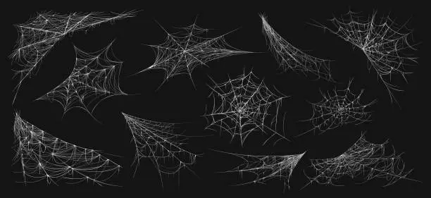 Vector illustration of Halloween spider web. Realistic cobweb, scary dark corner isolated net, spooky decorative element. Vector creepy hanging gothic web