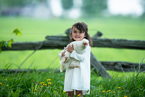 A sweet little girl of Hawaiian decent stands outside holding a chicken on a sunny summer day.  She is dressed casually in a white dress and smiling as she holds her feathered friend.
