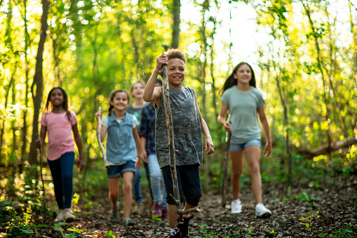 A small group of young children take a hike in the woods on a sunny fall day.  They are each dressed casually and some have wooden walking sticks as they enjoy the great outdoors together.