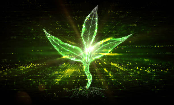 AgTech - Agricultural Technology- Seedling Sprouting on Abstract Technology Background - Conceptual Illustration AgTech - Agricultural Technology and Green Technology - Bioengineering and Agricultural Engineering - Seedling Sprouting on Abstract Technology Background - Conceptual Illustration crispr photos stock pictures, royalty-free photos & images