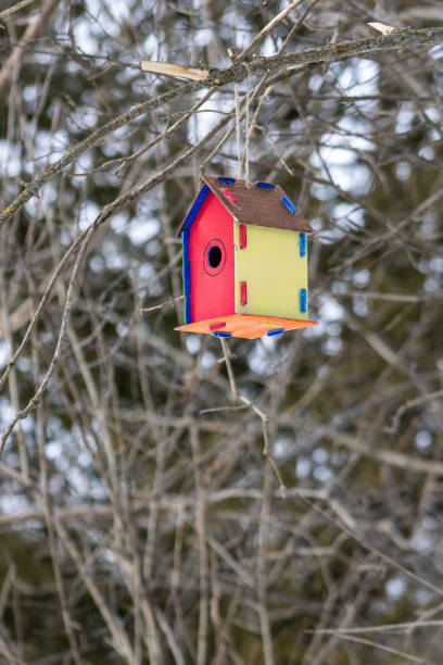 istock Colourful Birdhouse Along a Nature Trail 1366446574