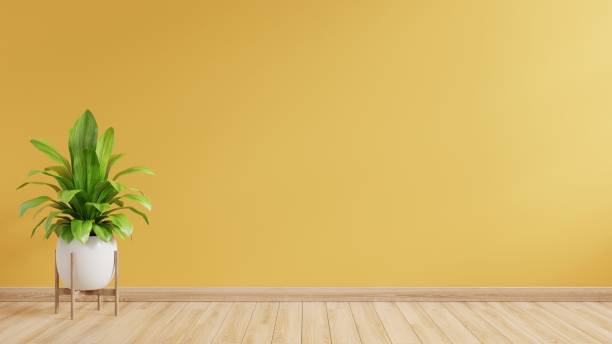 istock Yellow wall empty room with plants on a wooden floor. 1366447253