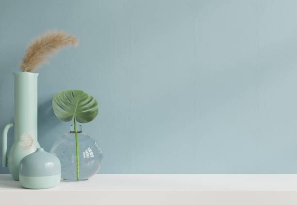 Mock up blue wall mounted on the white shelf with beautiful plants.