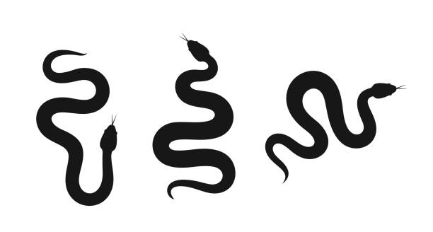 ヘビのシルエット。白い背景に孤立したヘビ - ヘビ点のイラスト素材／クリップアート素材／マンガ素材／アイコン素材