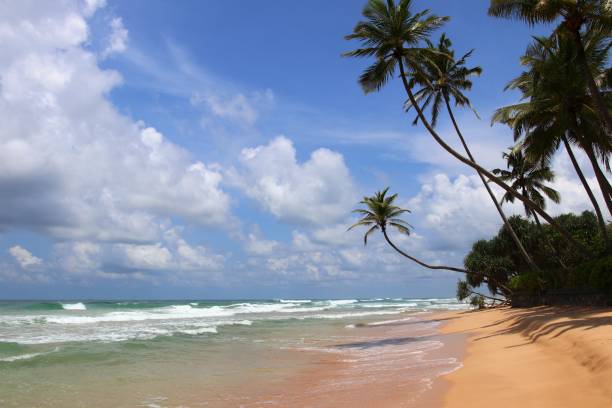 istock beautiful dream beach - Sri Lanka, Asia 1366449392