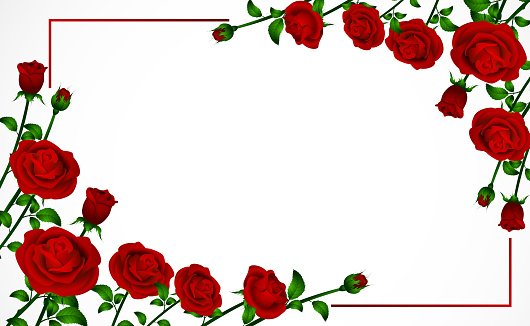 Valentine's Day Red Rose