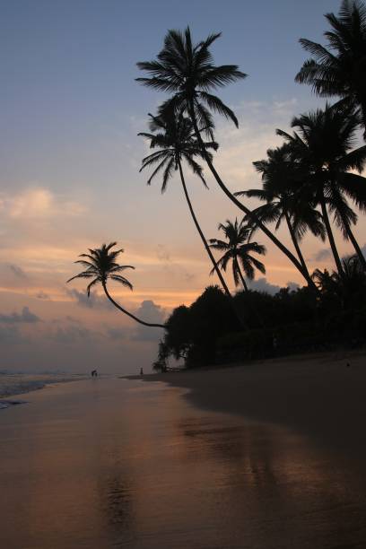 istock beautiful dream beach - Sri Lanka, Asia 1366450911