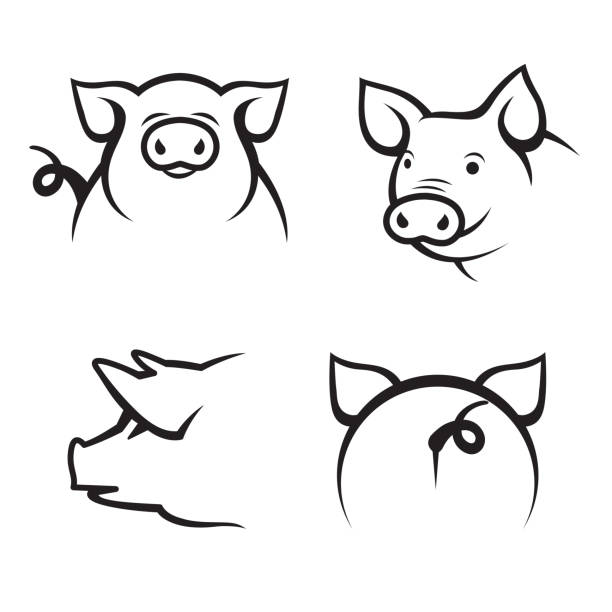 ilustraciones, imágenes clip art, dibujos animados e iconos de stock de juego de cerdo monocromo - cerdo