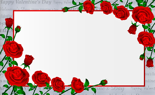 Valentine's Day White Background with Red Rose