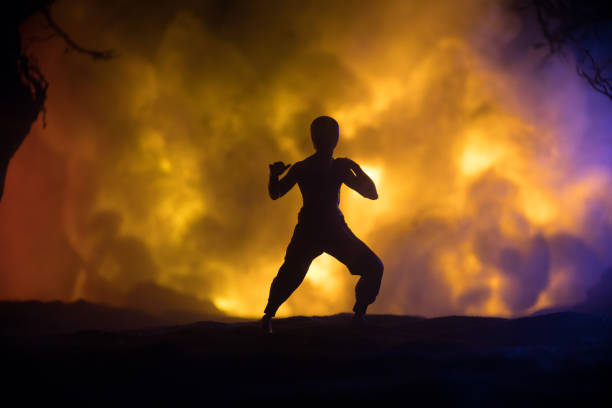 Karate athletes night fighting scene at burning forest. Character karate. Posing figure artwork decoration. Sport concept. Decorated foggy background with light. Selective focus