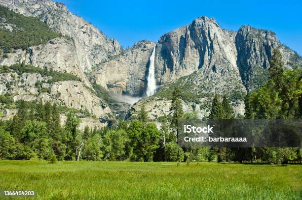 Yosemite Falls At Yosemite Valley National Park Stock Photo - Download Image Now - Yosemite Falls, Yosemite National Park, Californian Sierra Nevada
