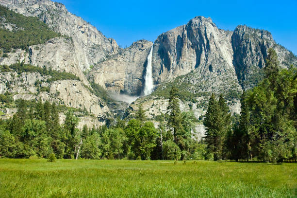 yosemite falls at yosemite valley, national park. - yosemite falls bildbanksfoton och bilder