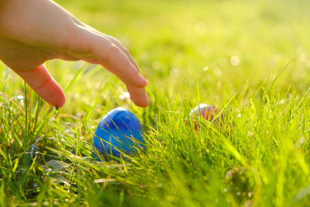 istock Colorful easter eggs.  Easter Egg Hunt.Child hand collect eggs in the spring garden. Collecting Easter eggs. Easter holiday tradition.Spring religious holiday 1366455269