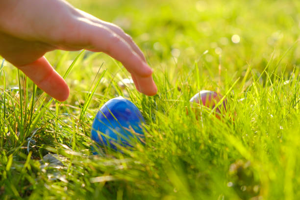 istock Easter Egg Hunt.Child hand collect eggs in the spring garden. Collecting Easter eggs. Colorful easter eggs. Easter holiday tradition.Spring religious holiday 1366455281