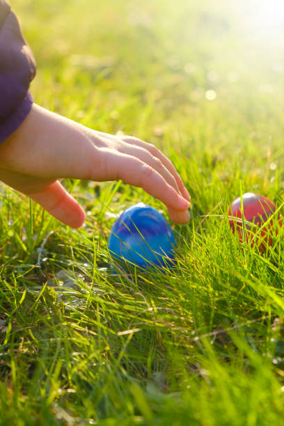 istock Easter Egg Hunt.Child hand collect eggs in the spring garden. Collecting Easter eggs. Easter holiday tradition.Spring religious holiday 1366455292