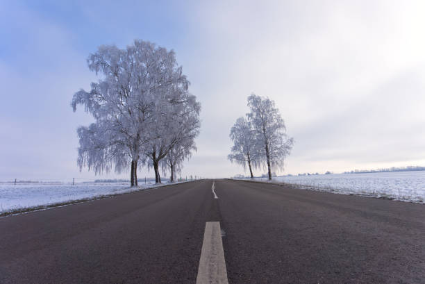 istock Snowy road with bare branched trees in winter 1366455464