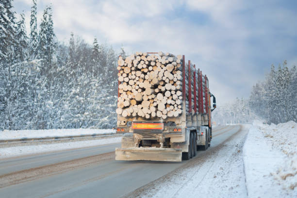 istock A logging truck carries lumber along a winter highway. 1366456244