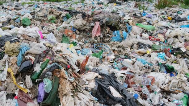 istock Environmental pollution, waste or household waste at the landfill. 1366456674