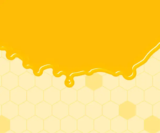 Vector illustration of Honey banner, with copy space, 300x250