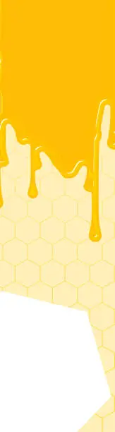 Vector illustration of Honey banner, with copy space, 160x600