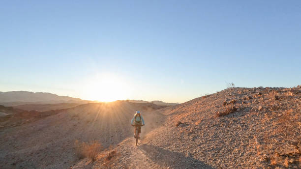 istock Female mountain biker follows desert pathway 1366456974