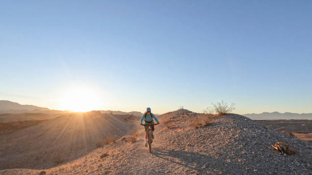 istock Female mountain biker follows desert pathway 1366456978