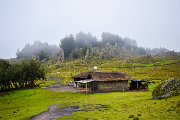 A mud hut in a stone forest A mud hut in a misty stone forest in Cumbemayo, Cajamarca, Peru. cajamarca region stock pictures, royalty-free photos & images