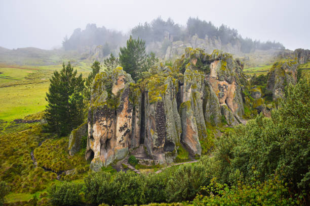 floresta de pedra coberta pela névoa da manhã - the stone forest - fotografias e filmes do acervo