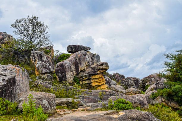 istock Turtle-shaped rocks among the vegetation and a cloudy sky. 1366457909