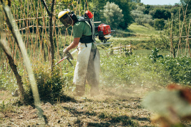 istock man using a grass trimmer in the countryside 1366458915