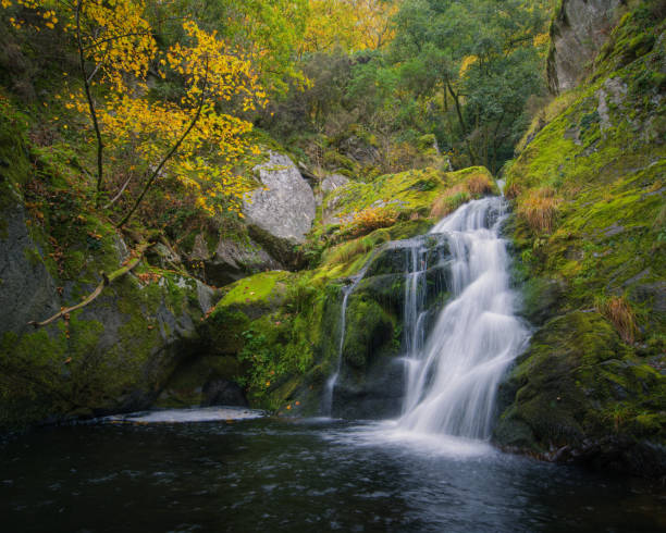 Small waterfall over a pool between granite rocks and autumn forest stock photo