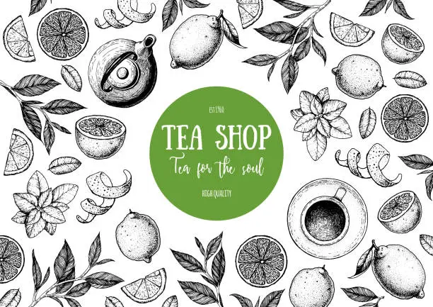 Vector illustration of Tea vector illustration. Citrus and tea leaves. Healthy drink. Hand drawn sketch. Engraved style. Can used for vintage package design with tea product. Vector hand drawn set.