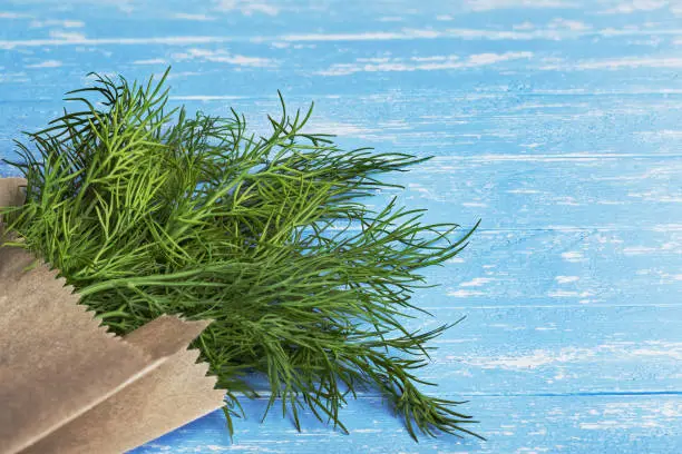 Photo of Dill .Kraft paper bag with fresh and green dill.