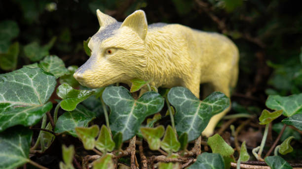 istock A plastic wolf toy in the woods. 1366460554