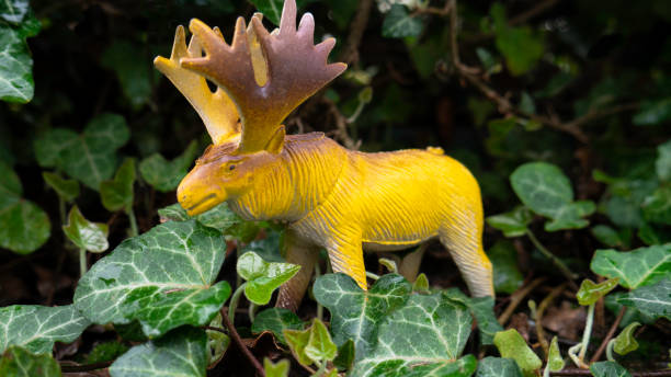 Moose toy in nature. Plastic animals toys.