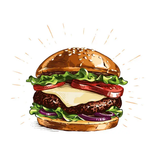 Vector illustration of colour burger hand drawing sketch engraving illustration style