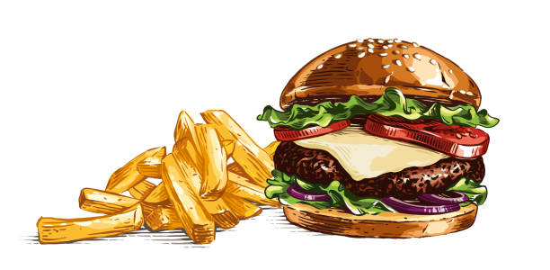 illustrations, cliparts, dessins animés et icônes de burger couleur et frites français dessin à la main croquis gravure style d’illustration - sandwich sketch cartoon line art