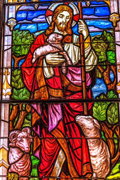 jesus lambs vidrieras iglesia san agustín florida - saint augustine cathedral fotografías e imágenes de stock